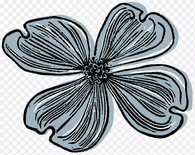 ����Գ���������ͼ��-����-������