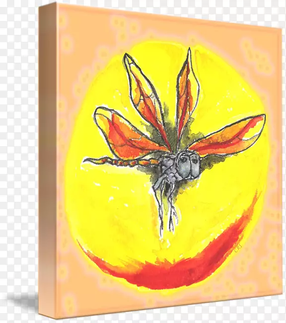 ����-������