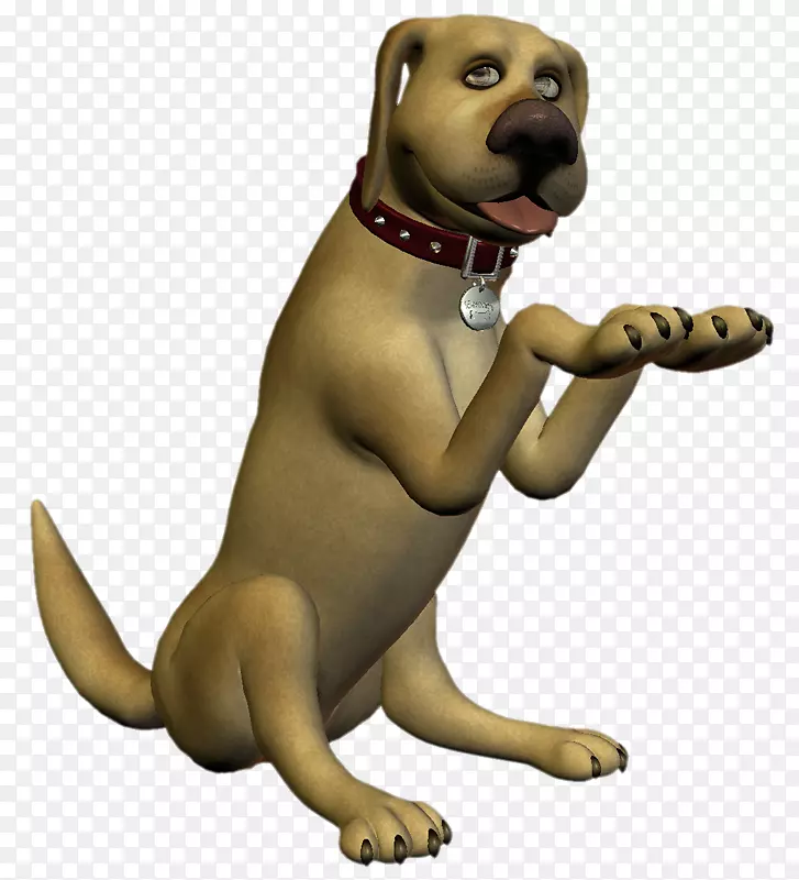 Ȯ��С����è���ӣ�צ��-������-������