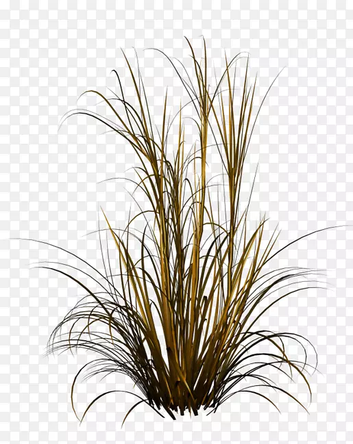 ��Ȫ�ݹ��Ͳ�-ֲ��-������