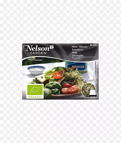 ��ޣ���ӷ�ѿ�߲�ɳ��-��ޣ-������