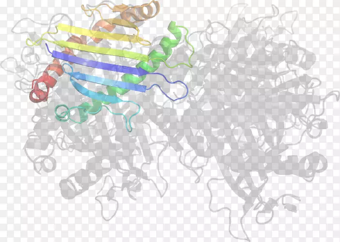 ���߼�����-��-������