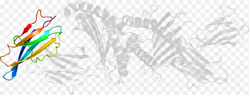 ƽ��������������������-������