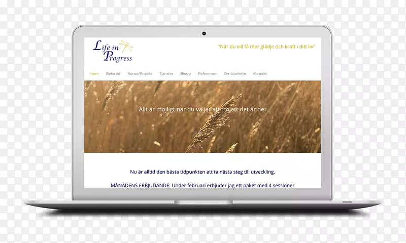 Ʒ�ƶ�ý��-Fein-������