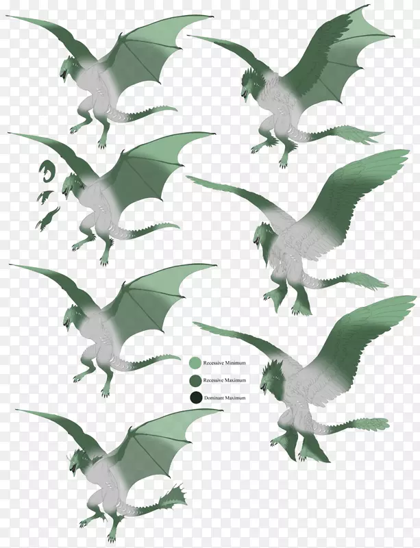 ๶���Ҷ��-������