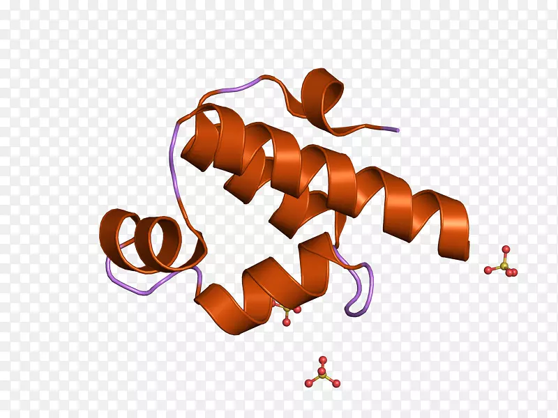 ��ָ���������-������