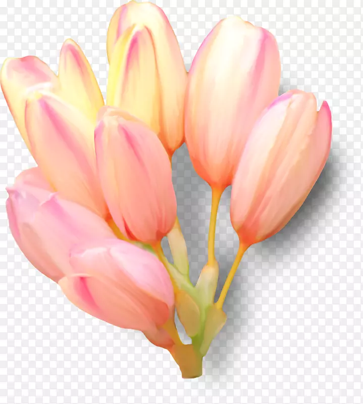 �����㻨���л���������-������-������