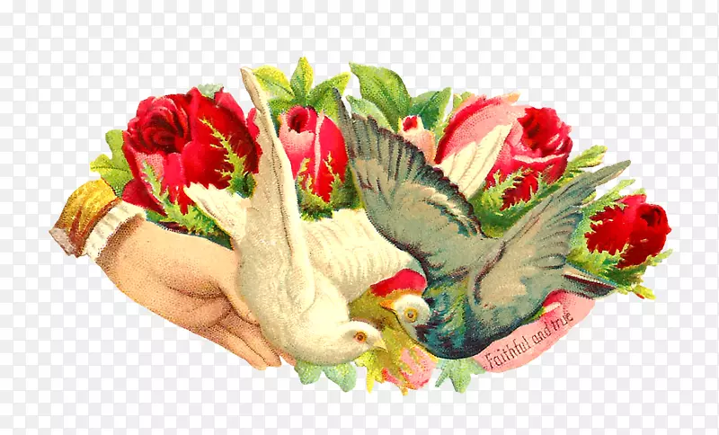 ��������л�����-������