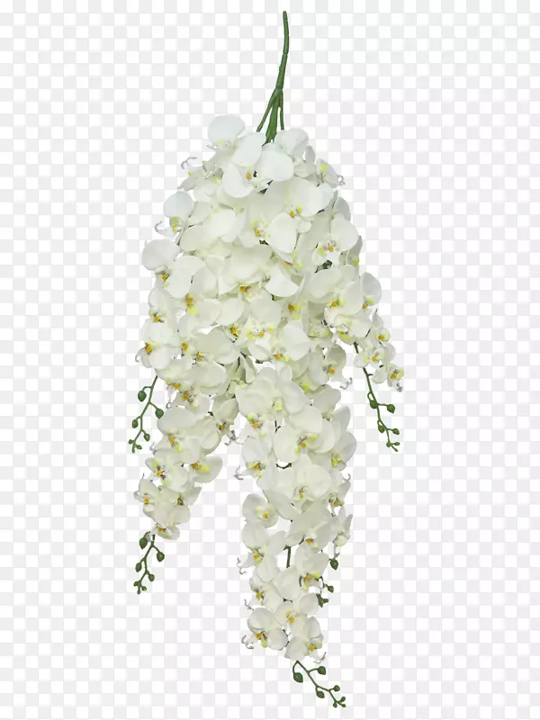 �л���ƻ�����ͨ���㻨-������