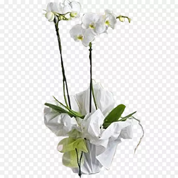 �ɶ����л�-������