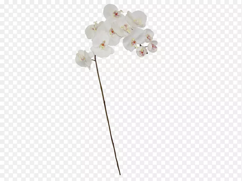 �鱦����-�鱦-������