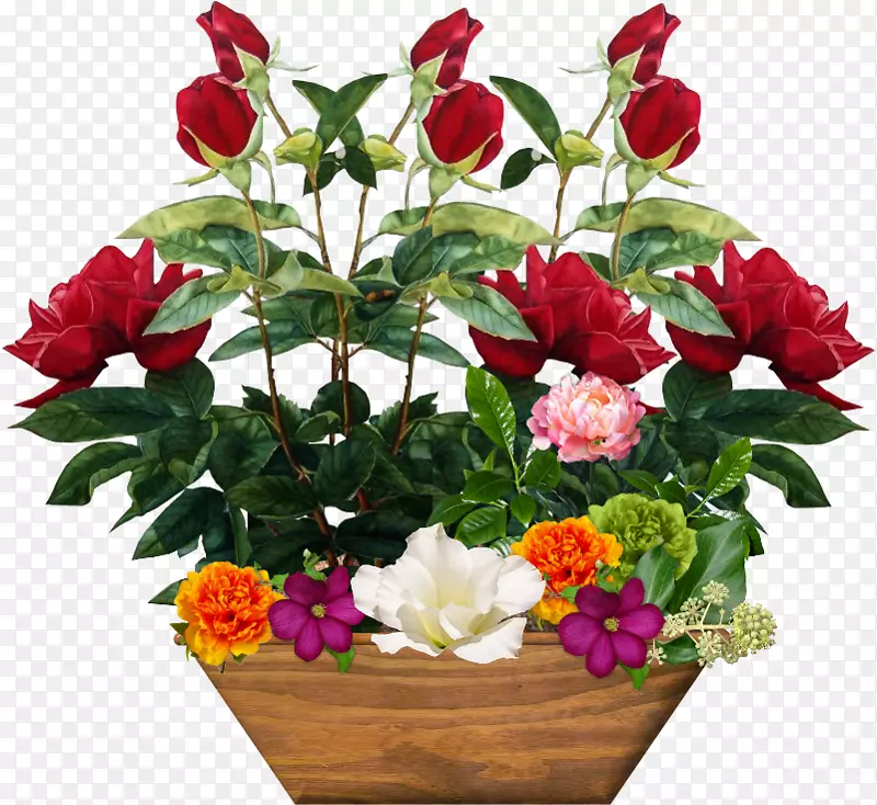 ���ܲ��������йܷ���-������