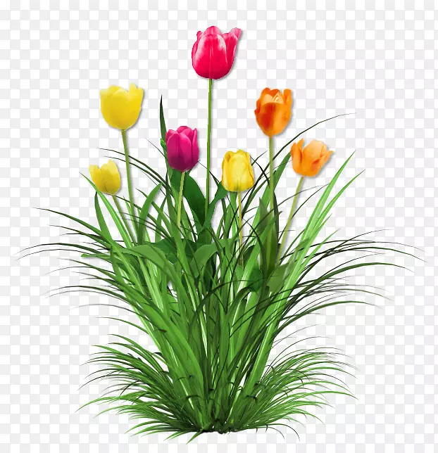 �������л�����-������-������