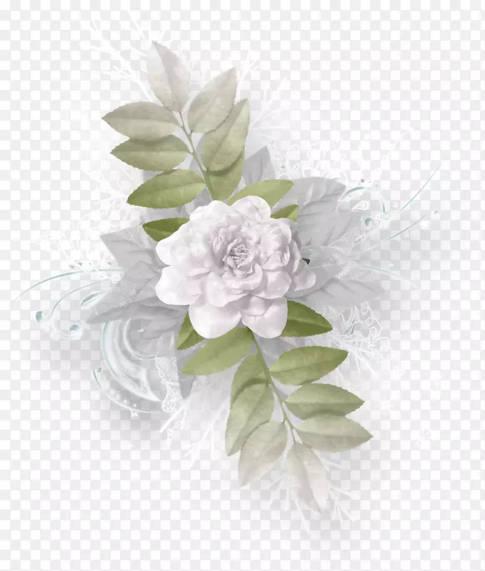 �л���ƻ������컨��-������