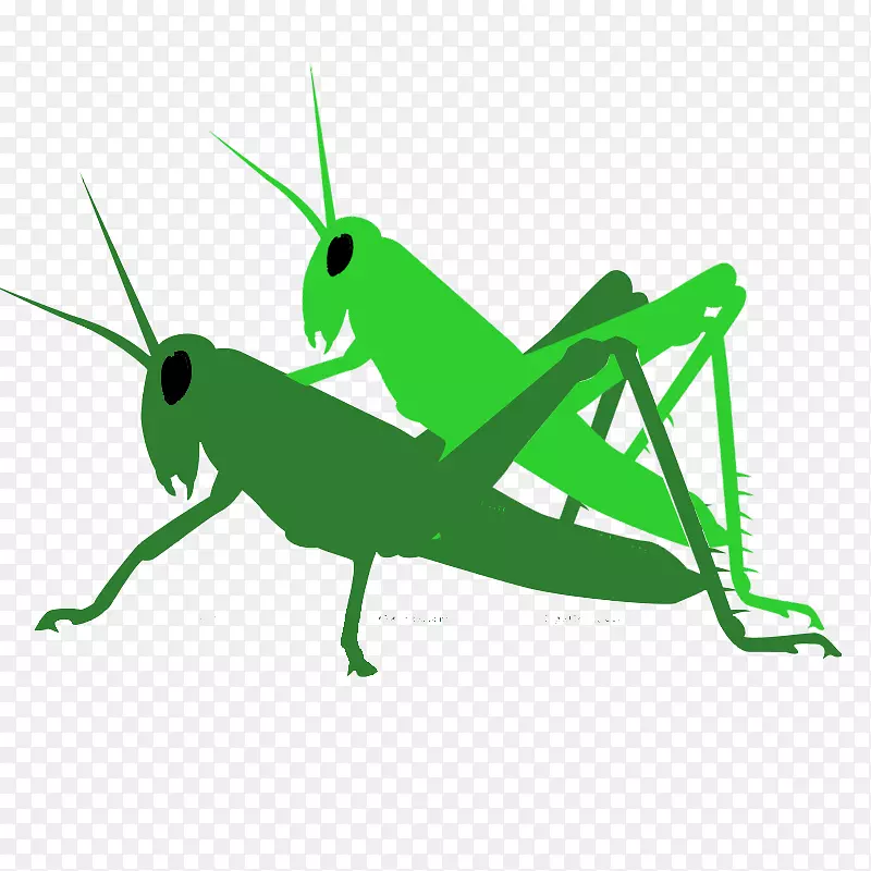 �ȳ没�溦������-�ȳ�-������