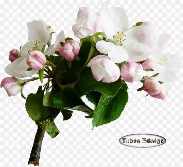 ��������л������˹�����-������