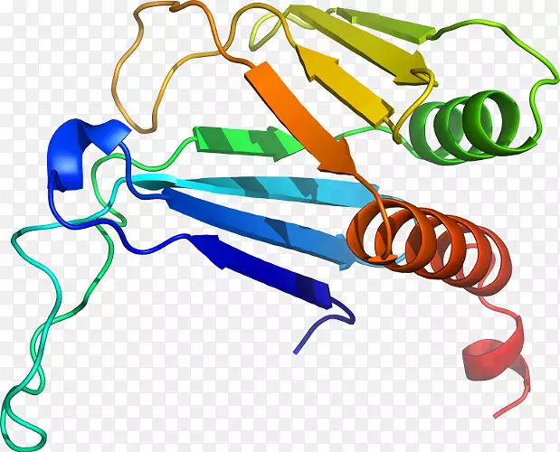 �ߵ������-��-������