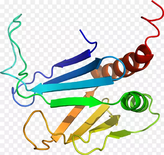 �ߵ������������-������