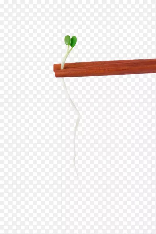 ��֯�ǵذ�ͼ��.�����ϵĲ���-������