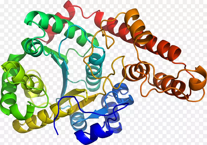 ���������鱦�л�����������鱦����-������