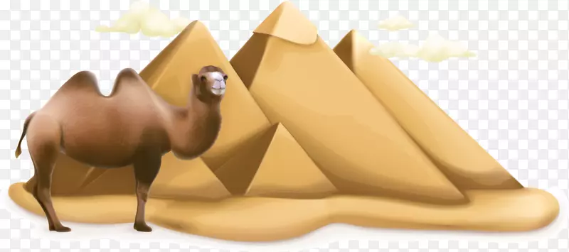 �Ű���ɳĮ-��ɫɳĮ����-������