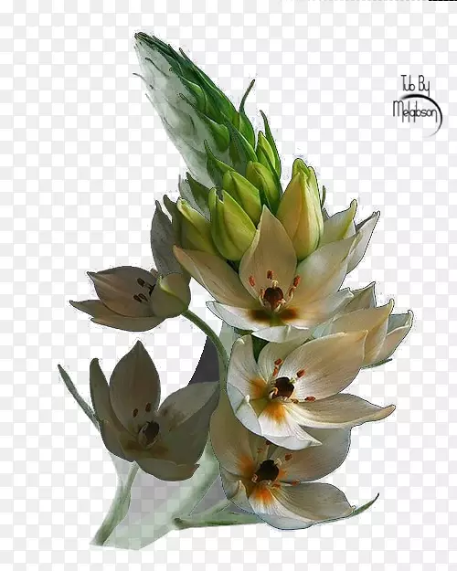 �л���ƻ������-������