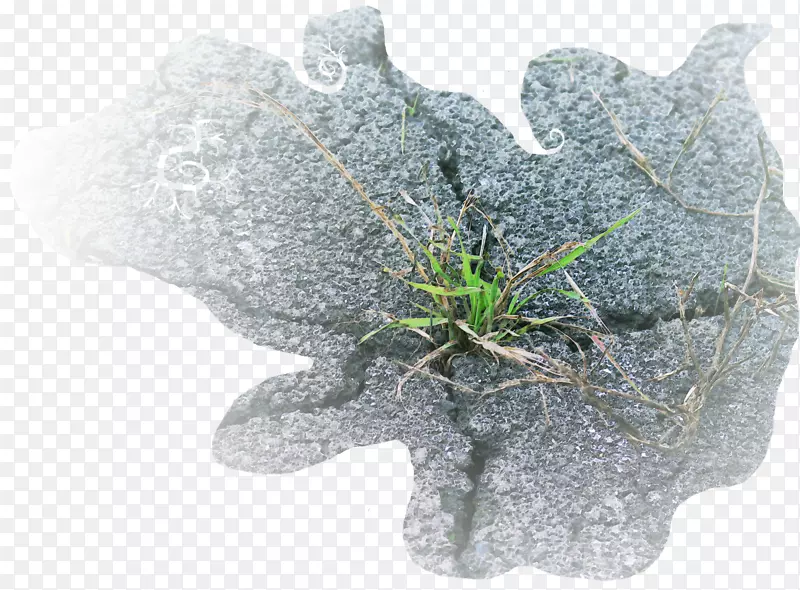 Ҷ��-Ҷ-������