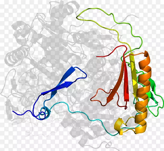 �ߵ������-��-������