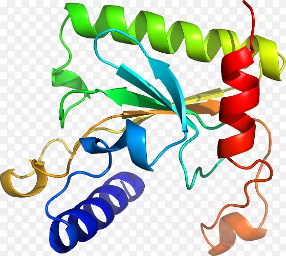 ֲ�ﾥ�߲��߼�����-�߲�-������