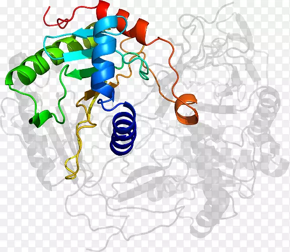 ������Ϊ���л�����������-������