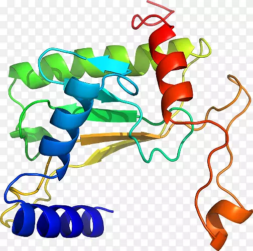 �ߵ������������-������