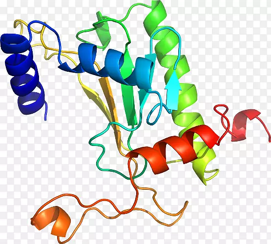 �����鱦�����߼�������-������