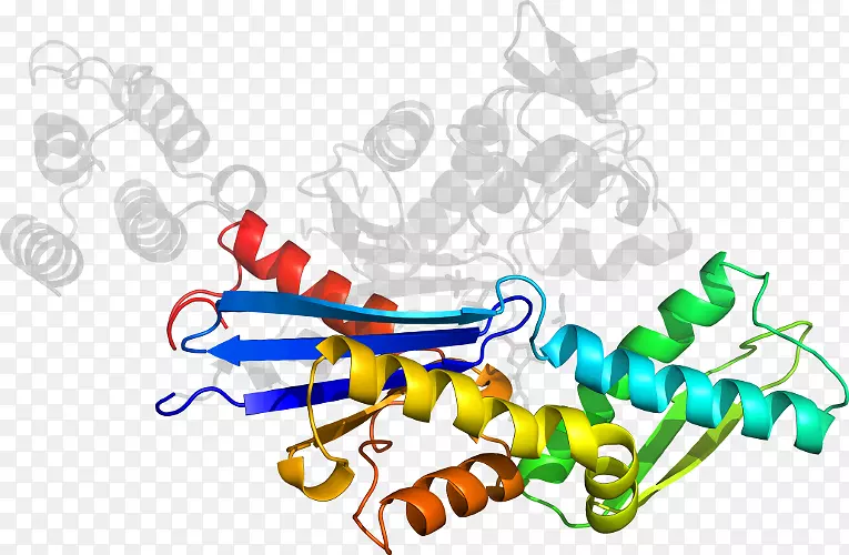 �ߵ������-��-������