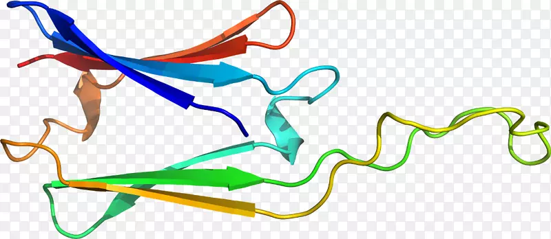 �ߵ������-��-������