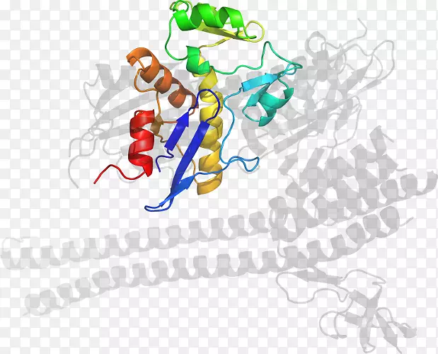 ƽ����Ƽ�����.���-������