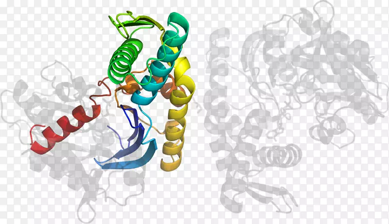 �����鱦������.���-������