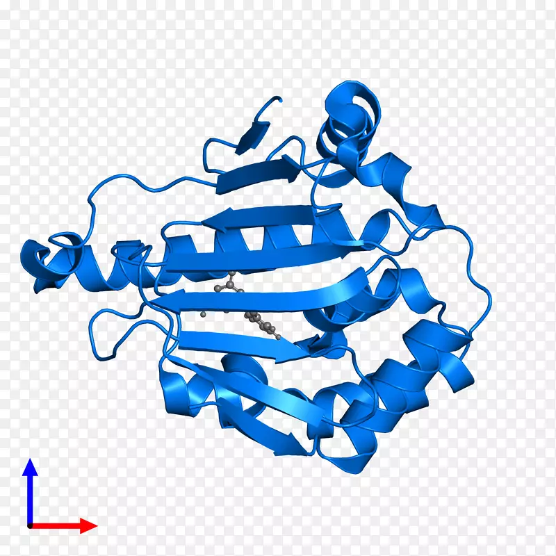 �ߵ������-��-������