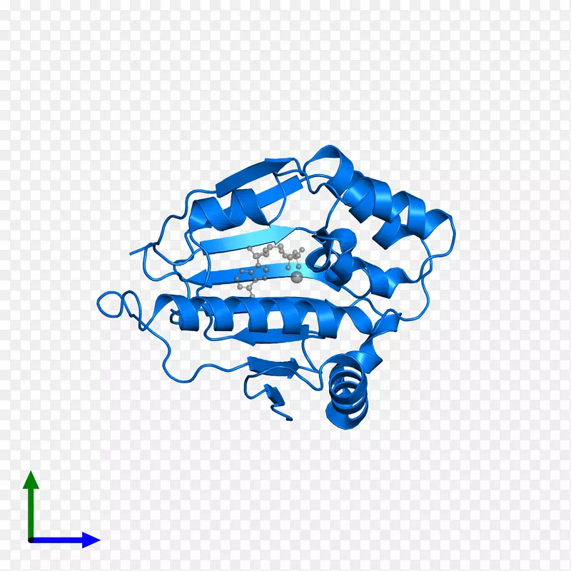 ��־�������-������