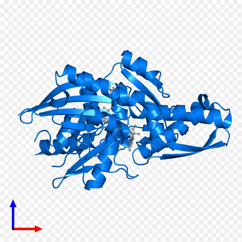 �ߵ������-��-������