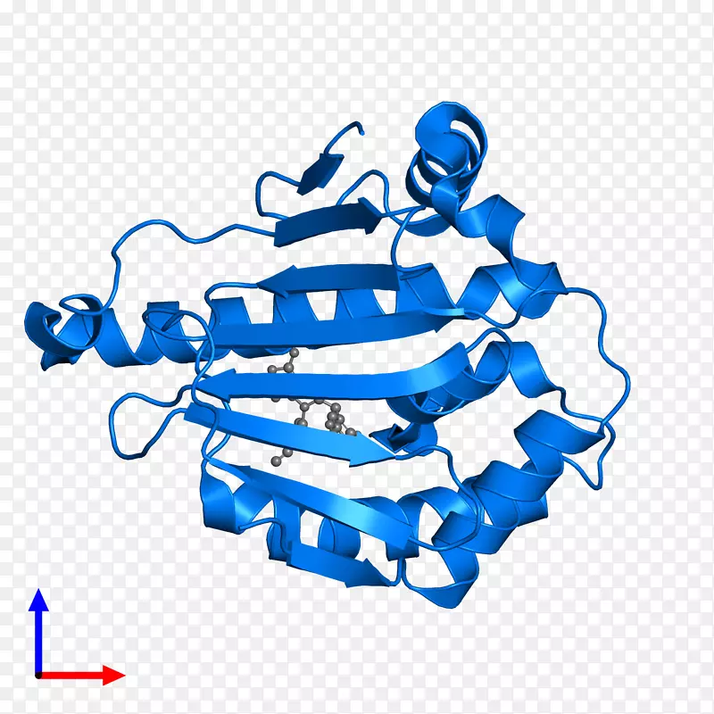 �߼��������-������