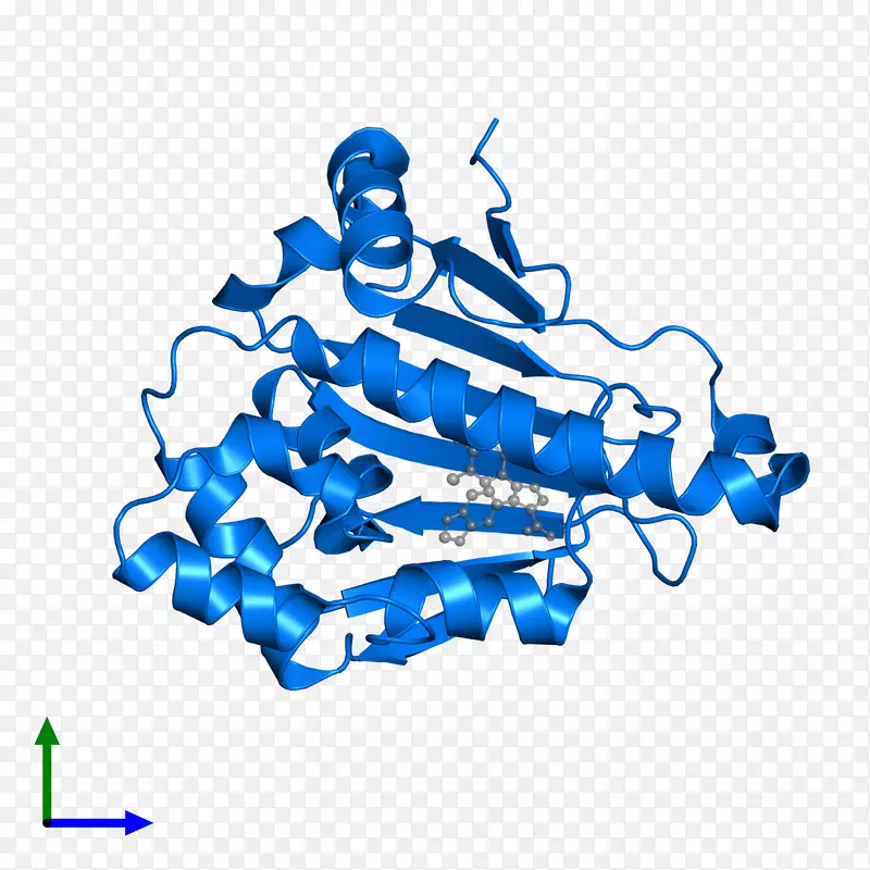 �ߵ������-��-������