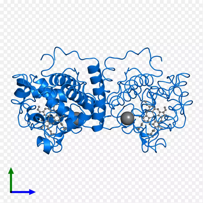 �ߵ������������-������