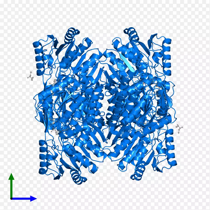 �ߵ����鱦������-������