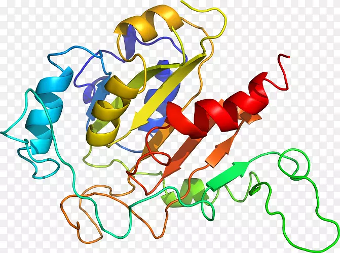 ����ֲ���л����߼�����-�߲�-������