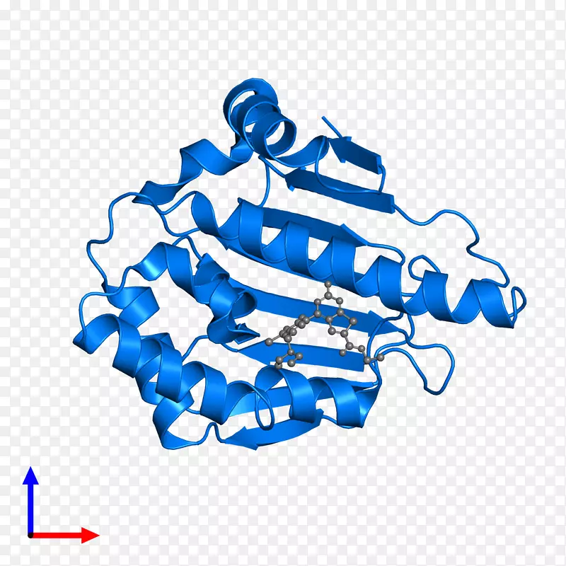 �ߵ������-��-������