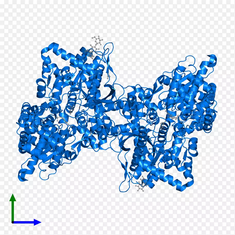 �ߵ�������-������