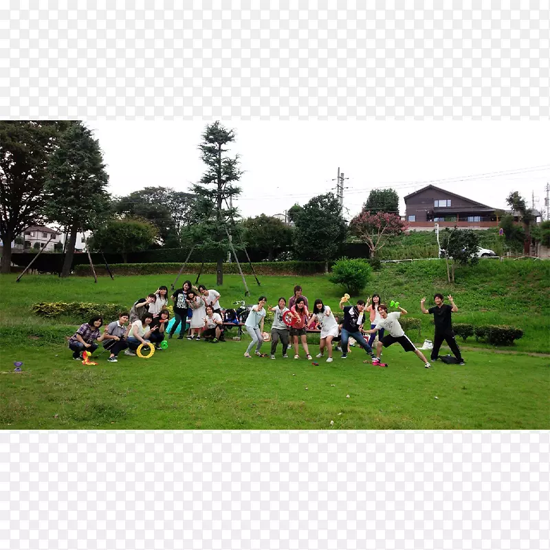 ��ƺ������������-��ˣ���ֲ�-������