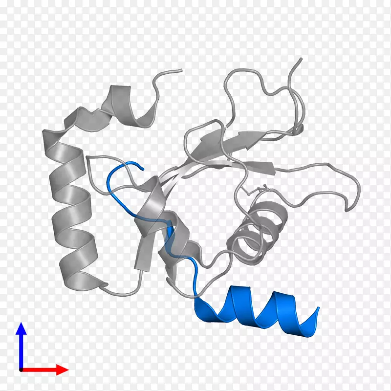 ��ָ���������-������