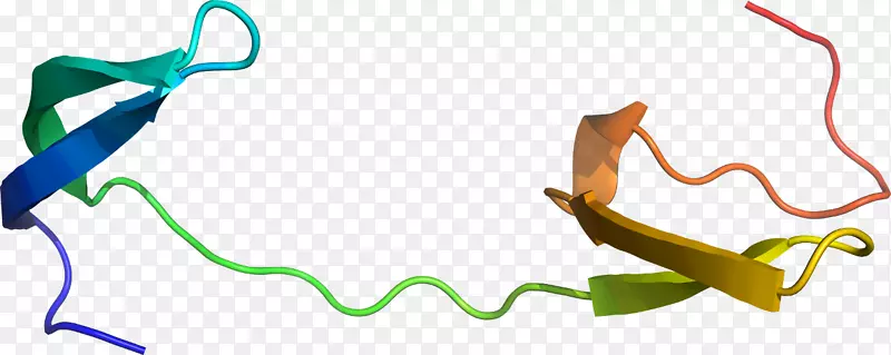 �ߵ������-��-������