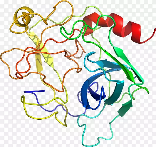 ֱ�ߵ�Ҷ��������-������